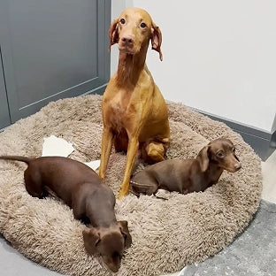 Scr 20250606 hrkf mff 4458e7ab 9cea 41db 81f7 47056dc9c585 1