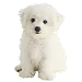  Dog サイズ: XS